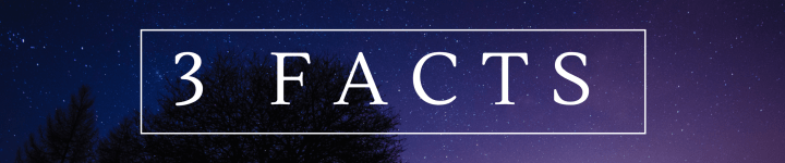 Blogger Award Q&amp;A