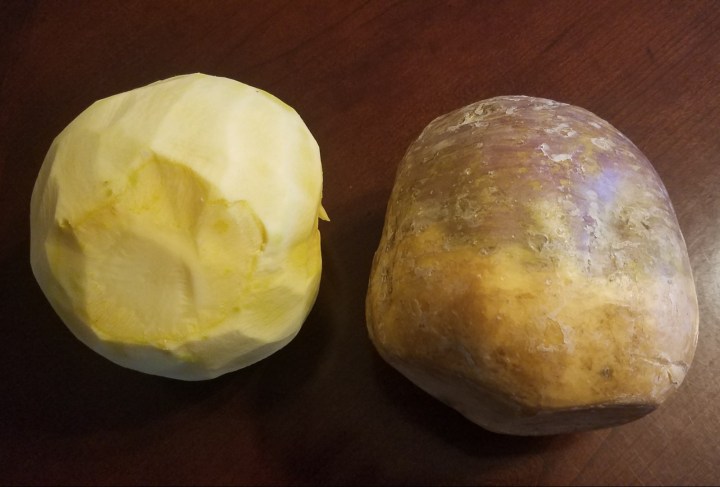 resized_20190121_162335